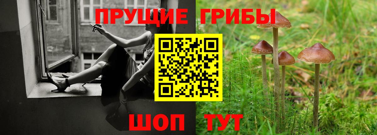 Галлюциногенные грибы MAGIC MUSHROOMS  Вход с VPN  Орёл 