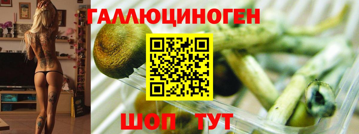 Псилоцибиновые грибы прущие грибы Орёл